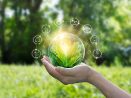 A hand holding a sphere with plants inside of it