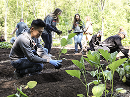 Group of people in a gardern planting plants